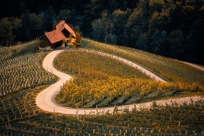 Travel Community